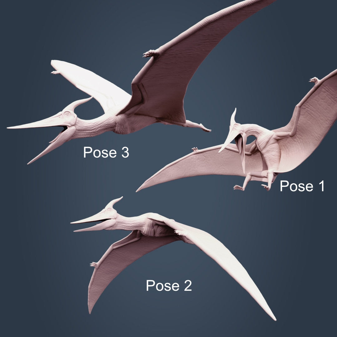 Pterodactylus, Optional Riders, Jurassic Tribe