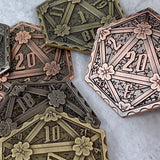 D20 Inspiration Coin
