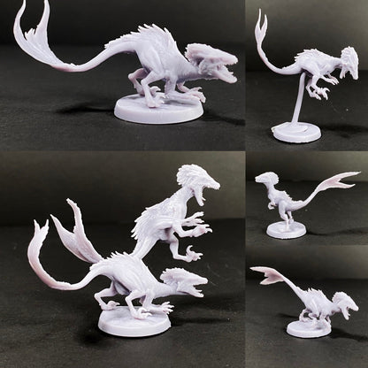 Feathered Raptors, Mini Monster Mayhem