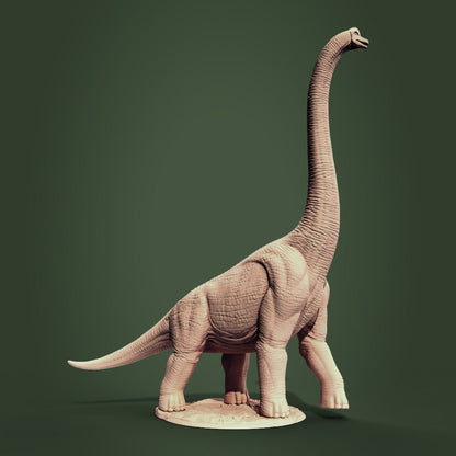 Brachiosaurus, Jurassic Tribe