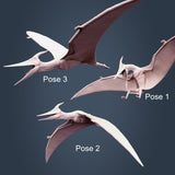 Pterodactylus, Optional Riders, Jurassic Tribe