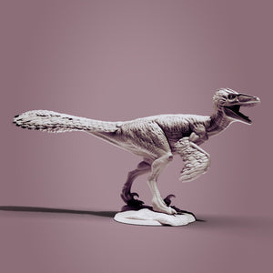 Feathered Utah Raptor, Jurassic Tribe